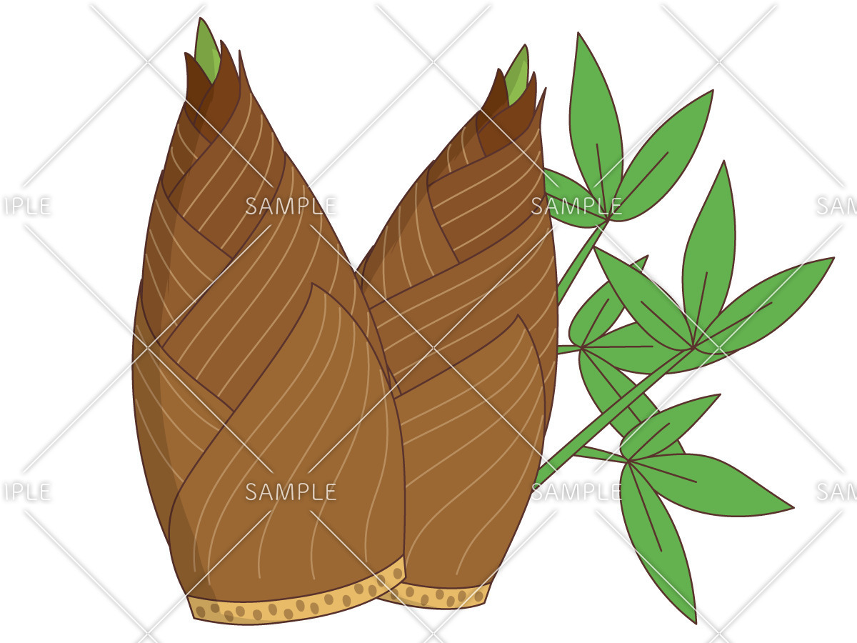 たけのこ（食べ物・飲み物/その他一般・装飾）のイラスト
