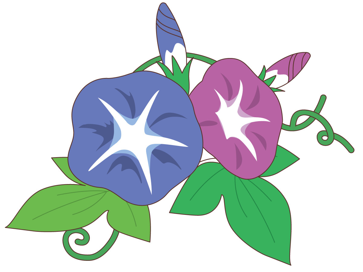 かわいいアサガオの花 お花 その他一般 装飾 の無料イラスト 介護アンテナ