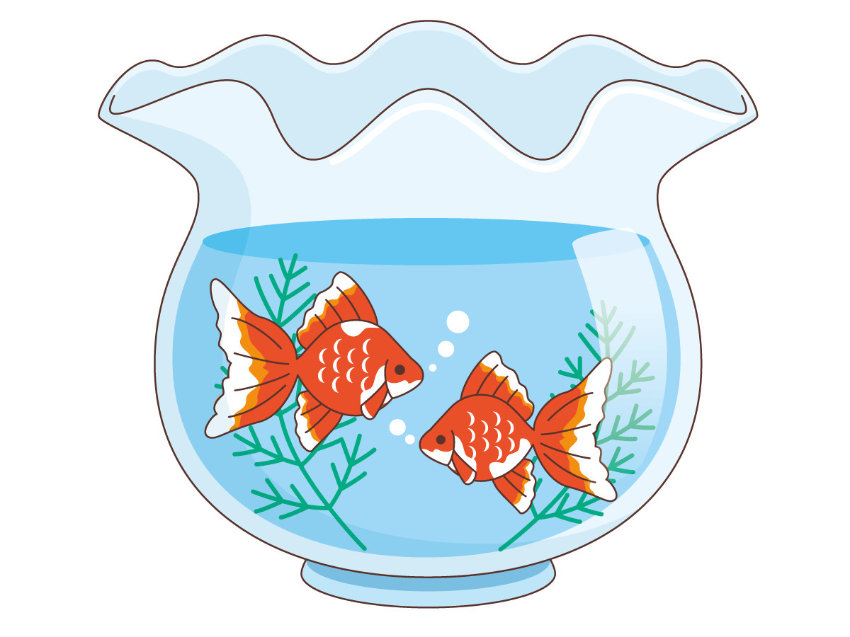 Images Of 金魚鉢の中の金魚 Japaneseclass Jp