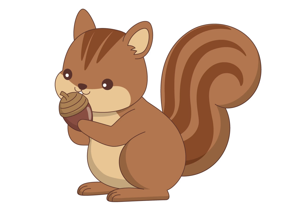 リスとどんぐり