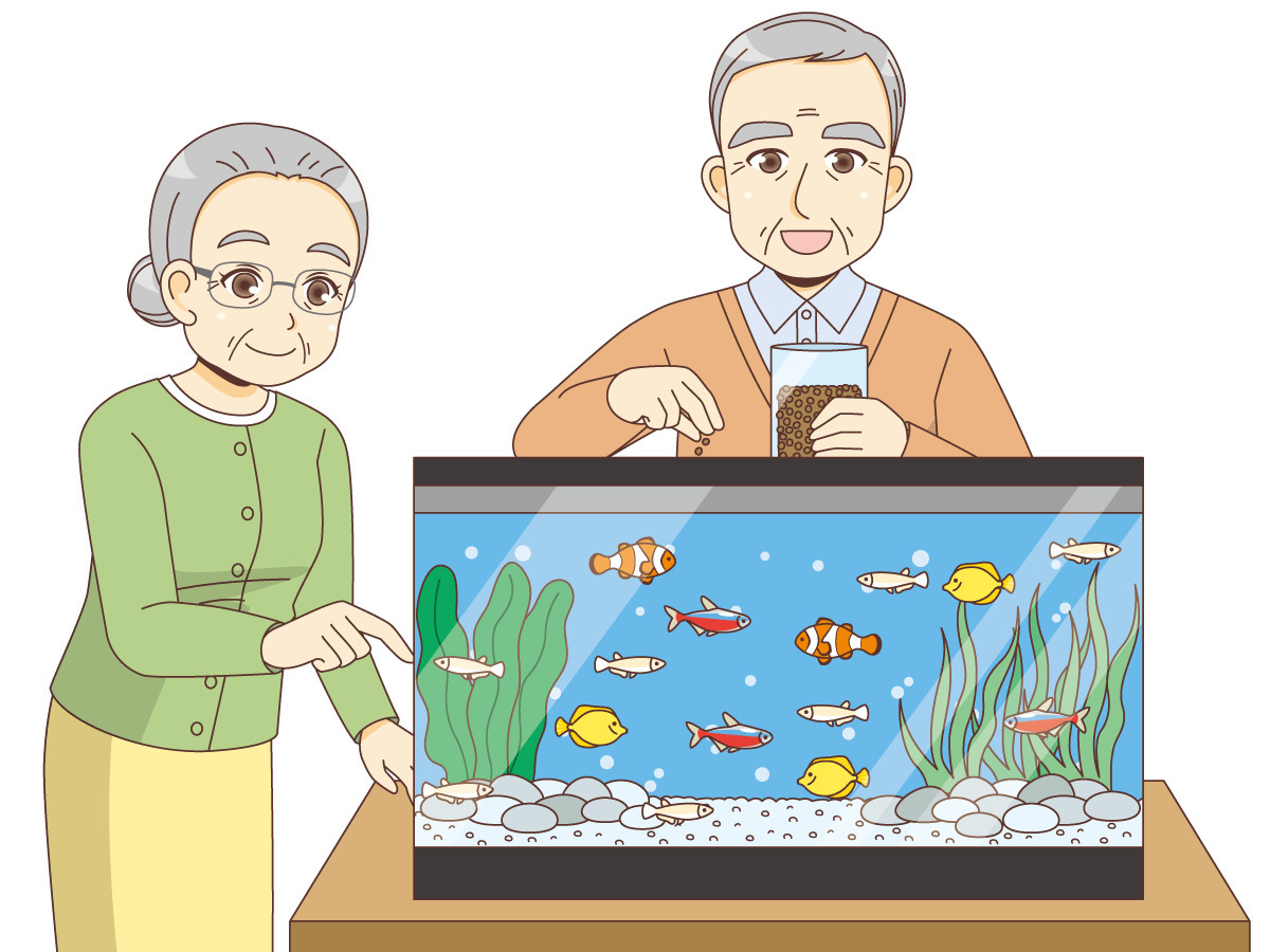 水槽の魚にエサをやる女性高齢者と男性高齢者 老人ホーム 介護施設 施設 サービス の無料イラスト 介護アンテナ