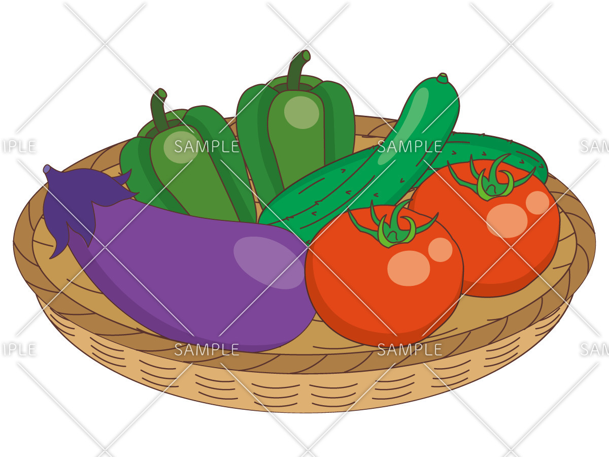 夏野菜（食べ物・飲み物/その他一般・装飾）のイラスト