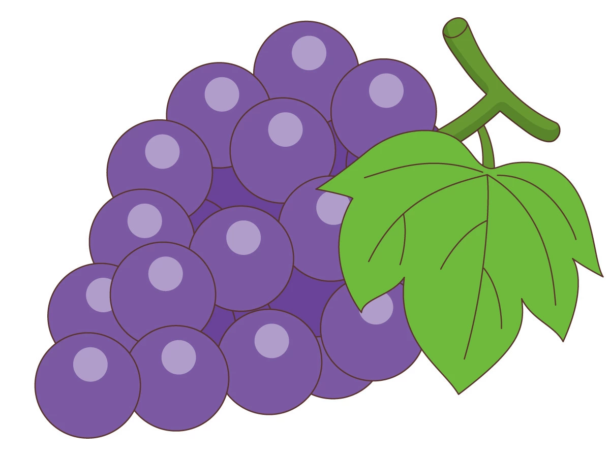 ブドウの絵 ブドウの絵