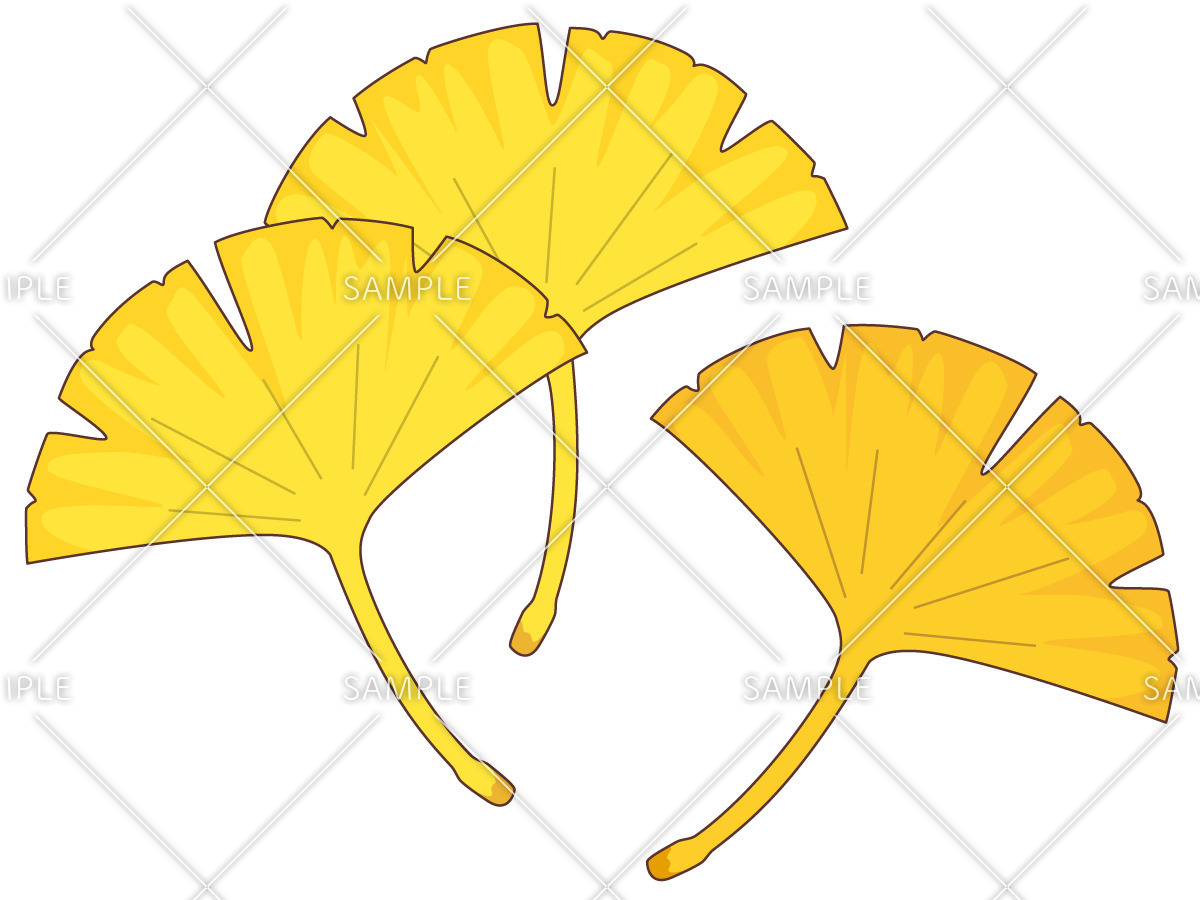 紅葉したイチョウ 季節 行事 その他一般 装飾 の無料イラスト 介護アンテナ