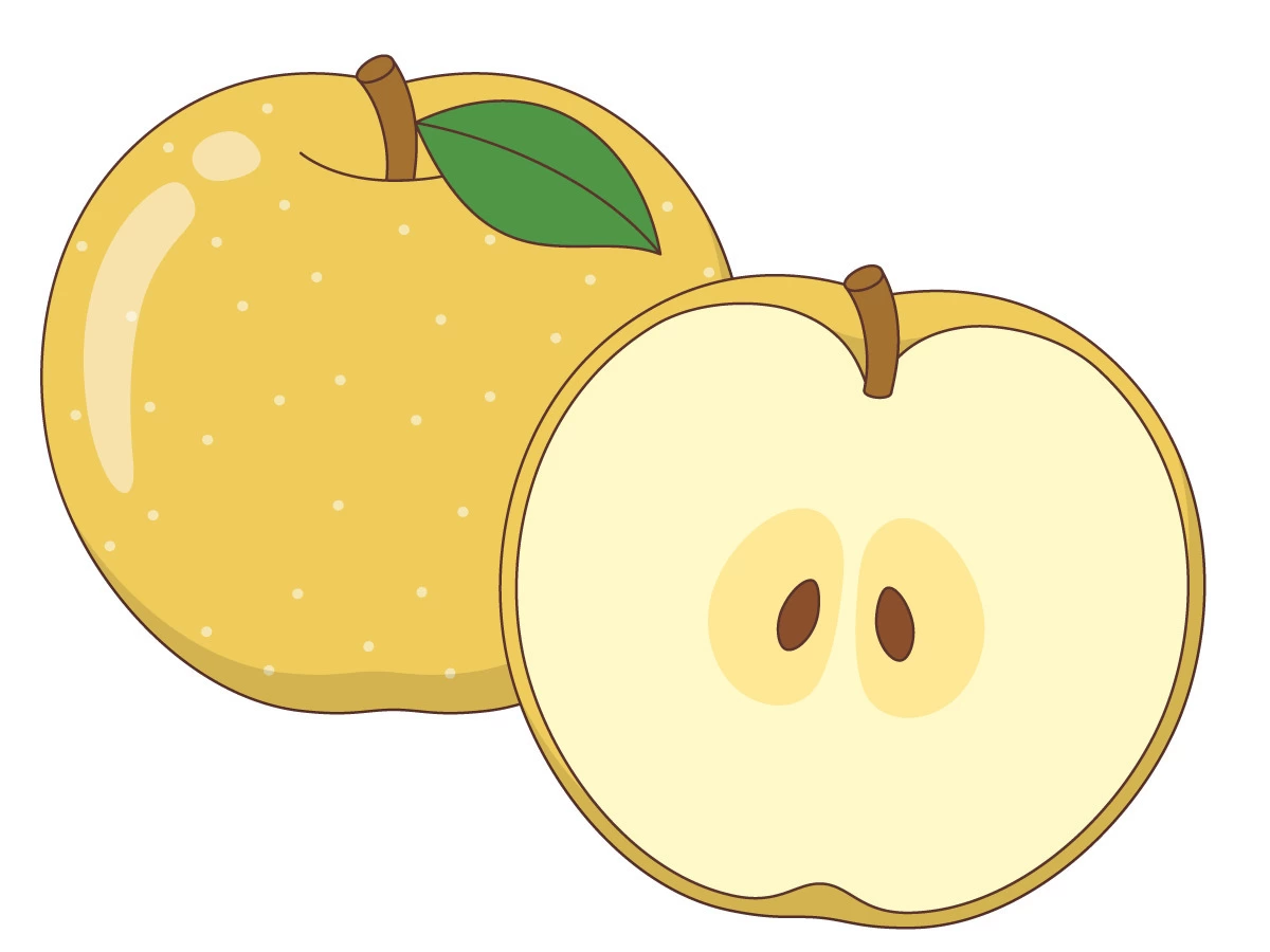なし（食べ物・飲み物/その他一般・装飾）の無料イラスト | 介護
