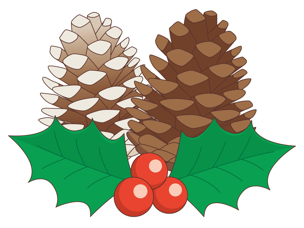 ヒイラギと松ぼっくりのクリスマス飾り 季節 行事 その他一般 装飾 の無料イラスト 介護アンテナ