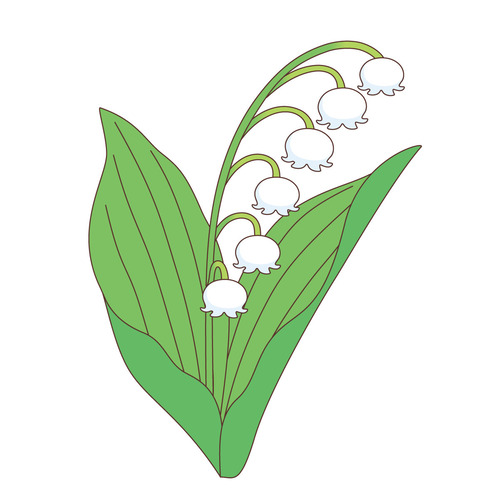 スズラン（お花/その他一般・装飾）