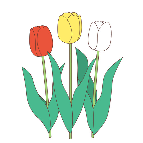 赤・黄色・白のチューリップ（お花/その他一般・装飾）のイラスト