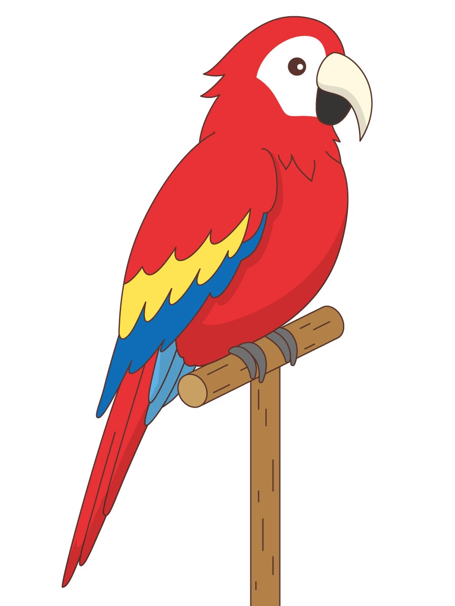 オウムの絵
