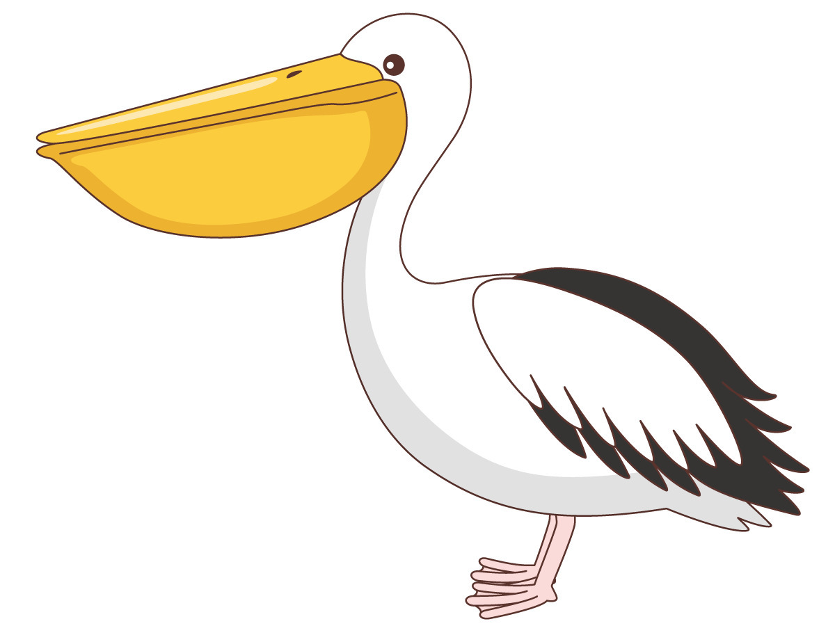 かわいいペリカン 動物 その他一般 装飾 の無料イラスト 介護アンテナ
