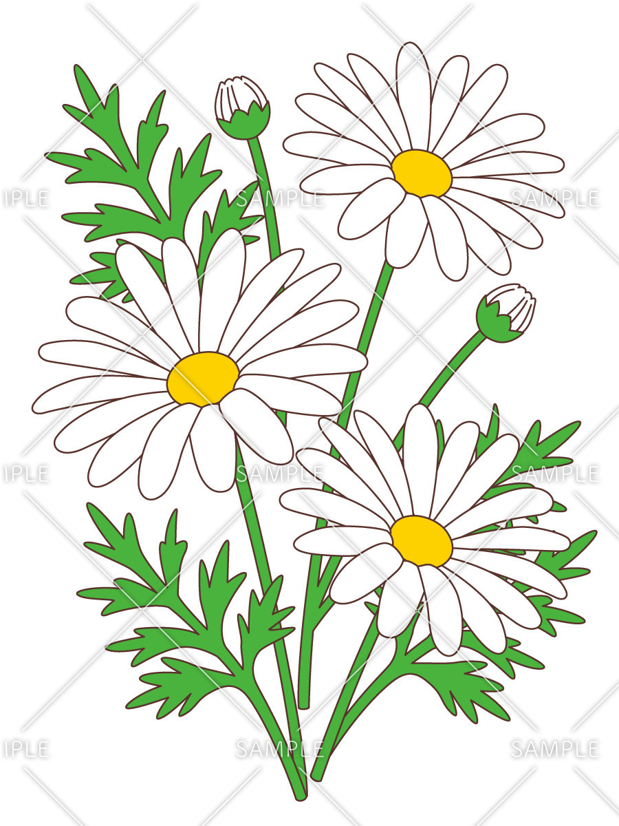 マーガレット お花 その他一般 装飾 の無料イラスト 介護アンテナ