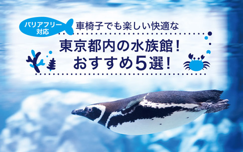 【バリアフリー対応】車椅子でも楽しい快適な東京都内の水族館！おすすめ5選