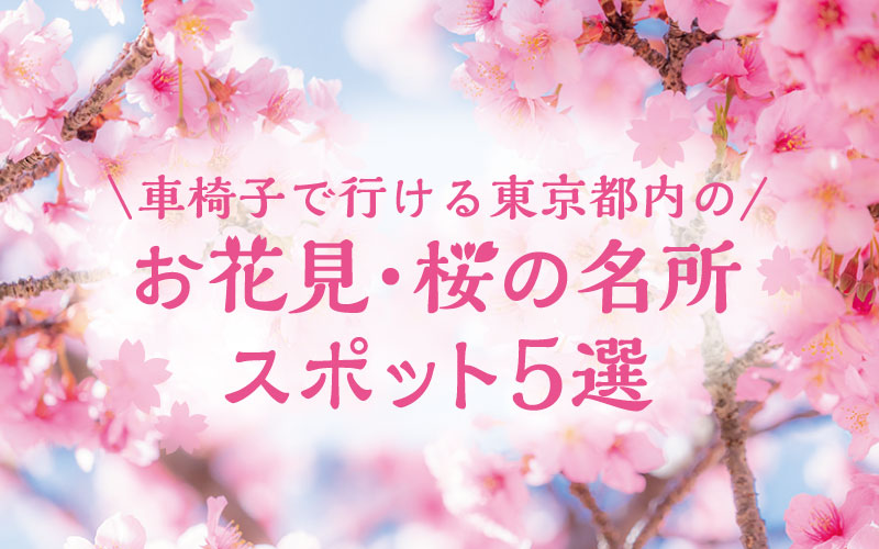 車椅子で行ける東京都内のお花見・桜の名所スポット5選【2023年版】
