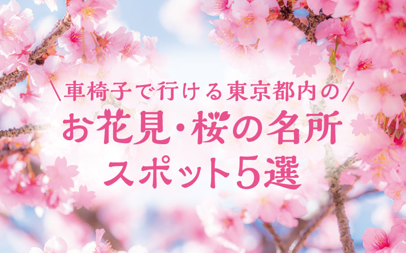 車椅子で行ける東京都内のお花見・桜の名所スポット5選【2024年版】