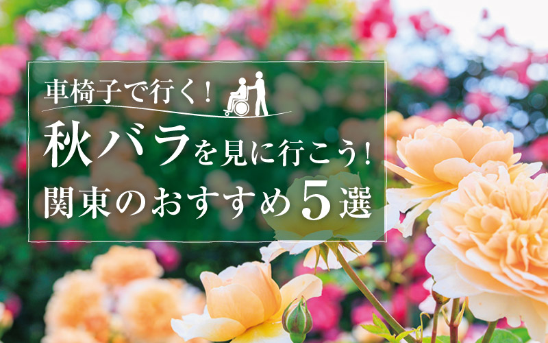【車椅子で行く】秋バラを見に行こう！関東のおすすめスポット5選
