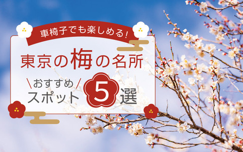 車椅子でも楽しめる！東京の梅の名所おすすめスポット5選