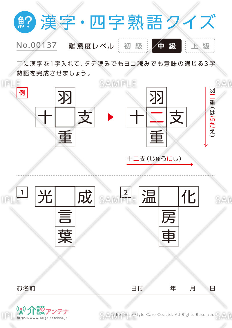 穴埋め共通漢字（三字）クイズ-No.00137(高齢者向け漢字・四字熟語クイズの介護レク素材)