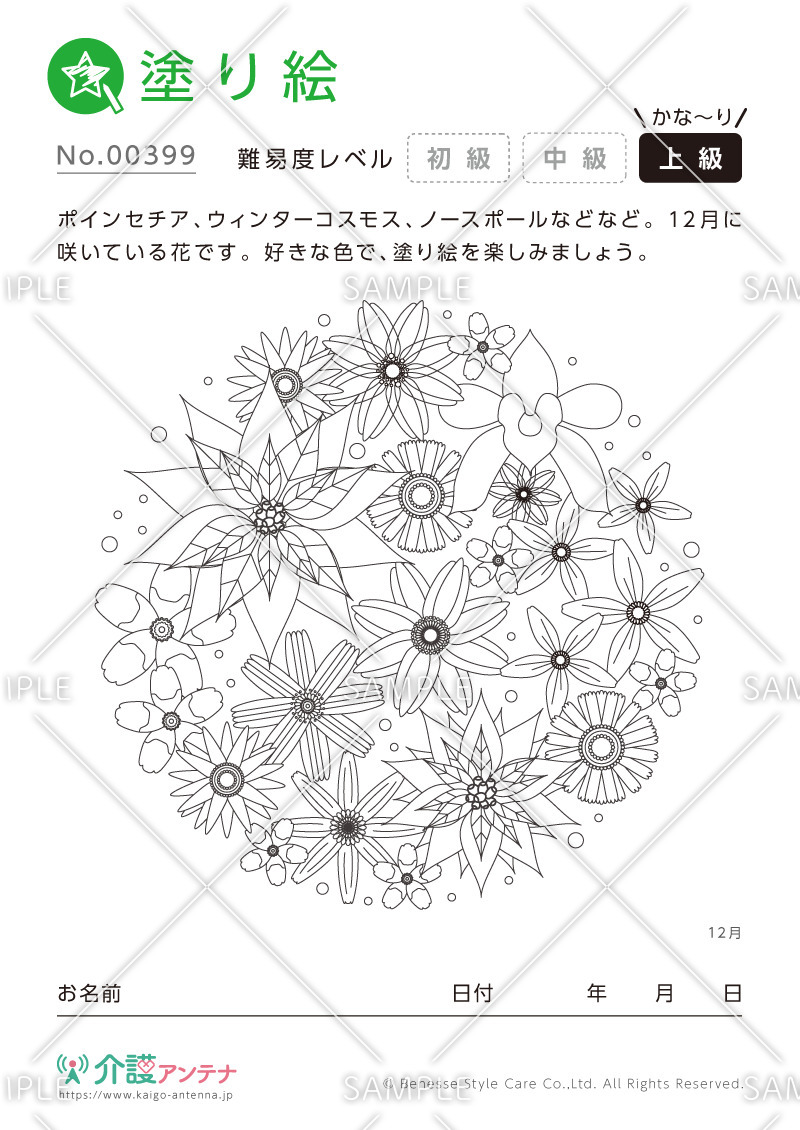 大人の塗り絵「12月の花」 - No.00399(高齢者向け塗り絵の介護レク素材) | 介護アンテナ