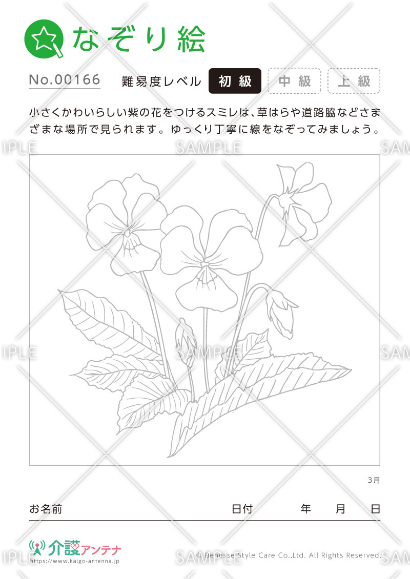 なぞり絵「3月の花 スミレ」 - No.00166(高齢者向けなぞり絵の介護レク素材)