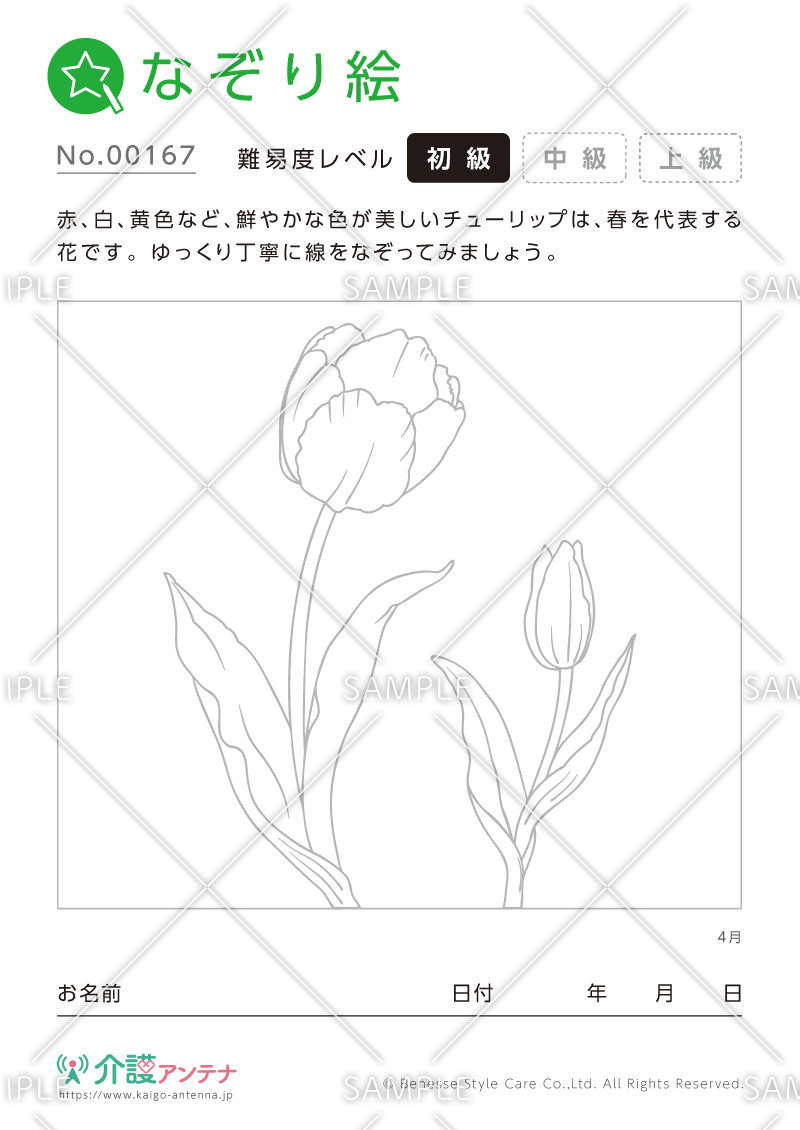 なぞり絵「4月の花 チューリップ」 - No.00167(高齢者向けなぞり絵の介護レク素材)