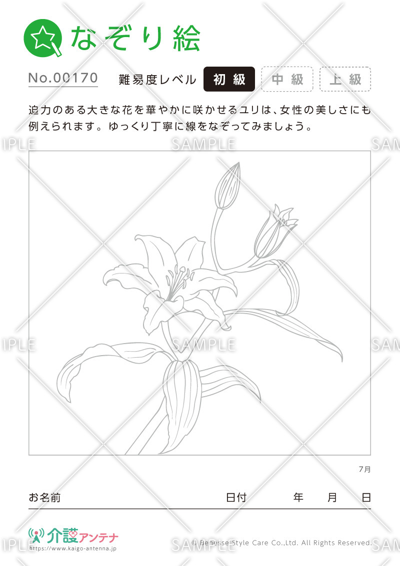 なぞり絵「7月の花 ユリ」 - No.00170(高齢者向けなぞり絵の介護レク素材)