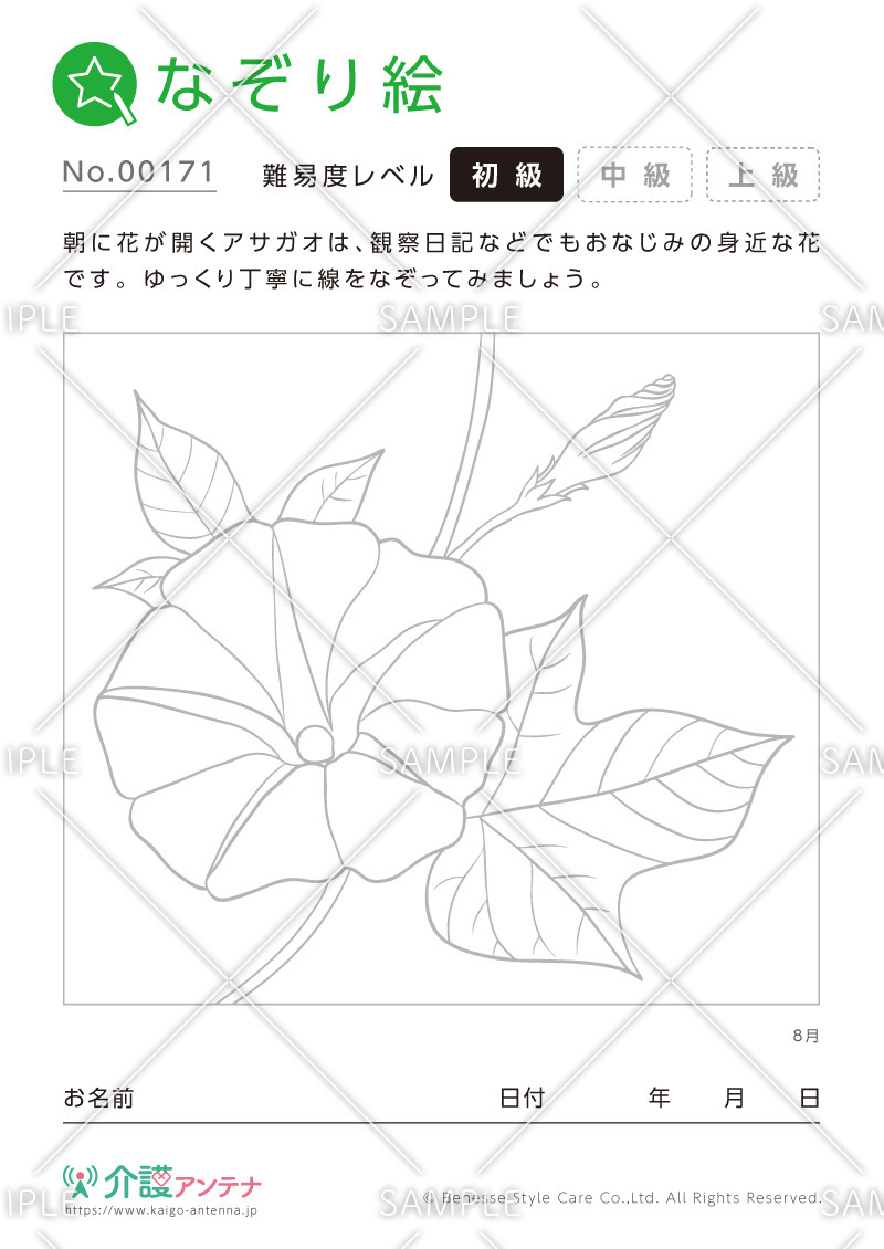 なぞり絵「8月の花 アサガオ」 - No.00171(高齢者向けなぞり絵の介護レク素材)