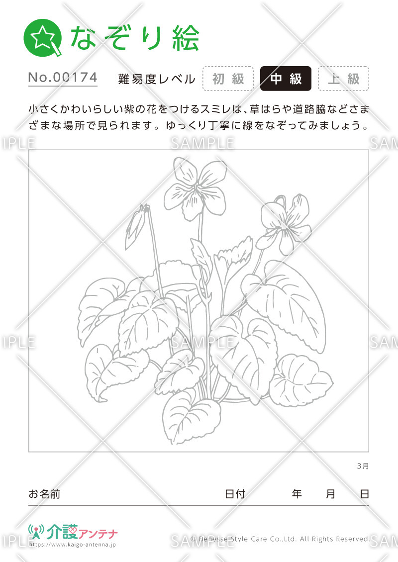 なぞり絵「3月の花 スミレ」 - No.00174(高齢者向けなぞり絵の介護レク素材)