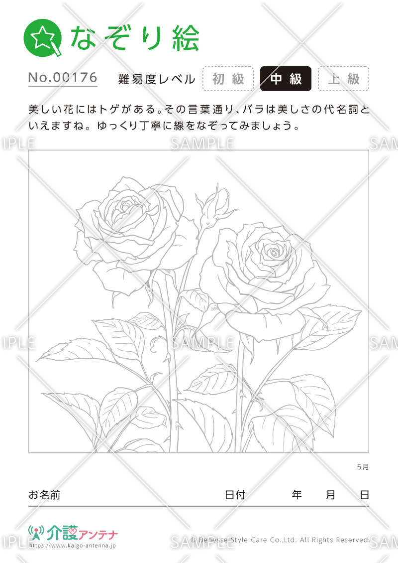 なぞり絵「5月の花 バラ」 - No.00176(高齢者向けなぞり絵の介護レク素材)