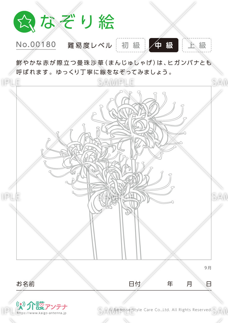 なぞり絵「9月の花 ヒガンバナ」 - No.00180(高齢者向けなぞり絵の介護レク素材)