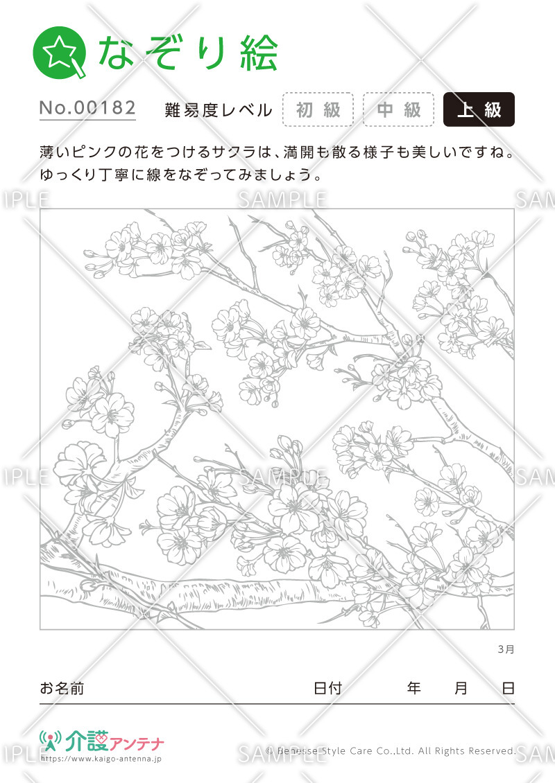 なぞり絵「3月の花 サクラ」 - No.00182(高齢者向けなぞり絵の介護レク素材)