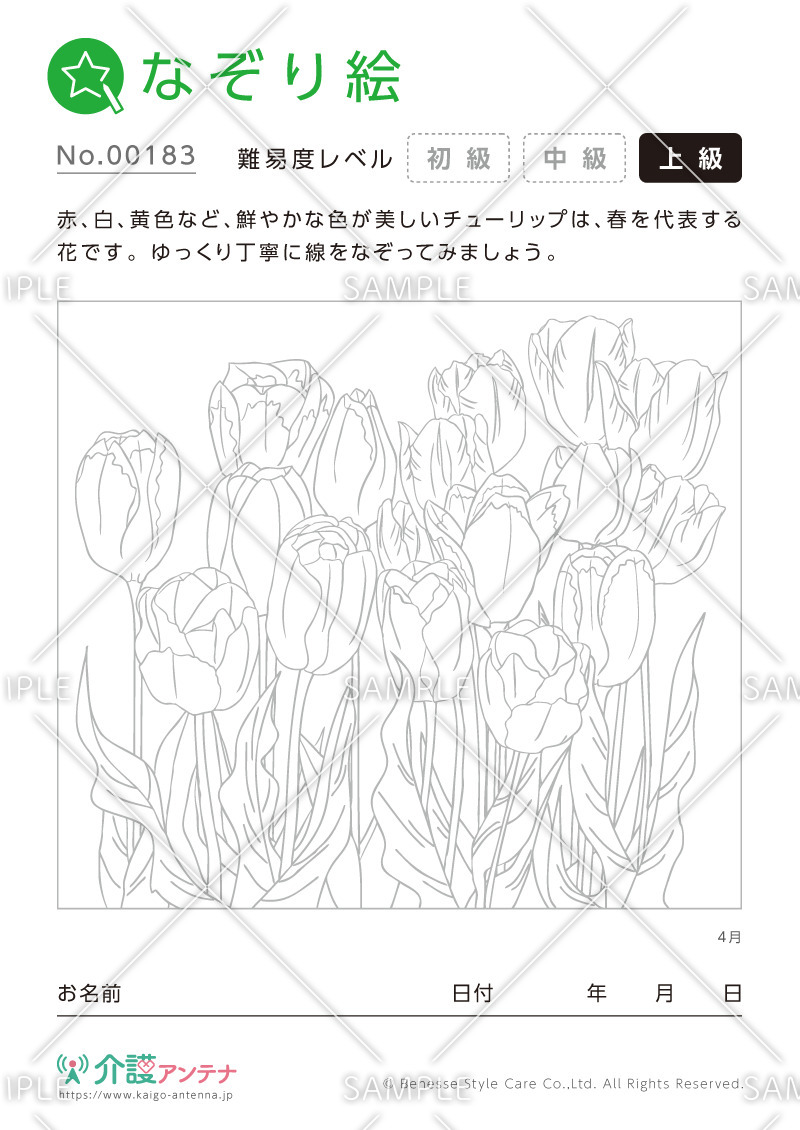 なぞり絵「4月の花 チューリップ」 - No.00183(高齢者向けなぞり絵の介護レク素材)