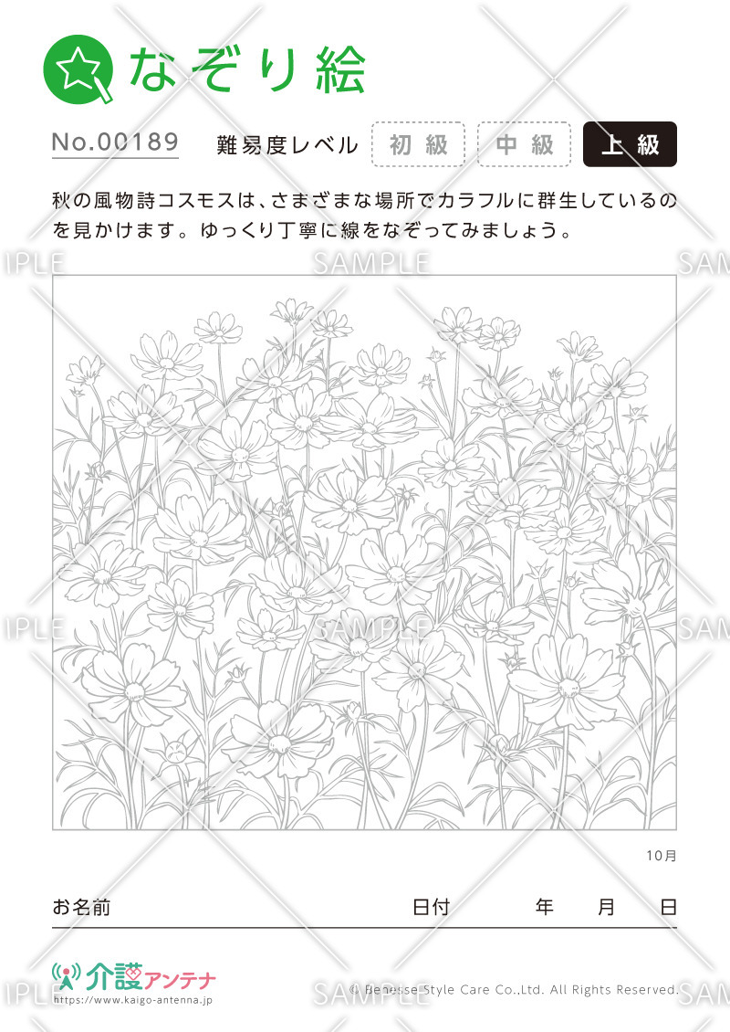 なぞり絵「10月の花 コスモス」 - No.00189(高齢者向けなぞり絵の介護レク素材)