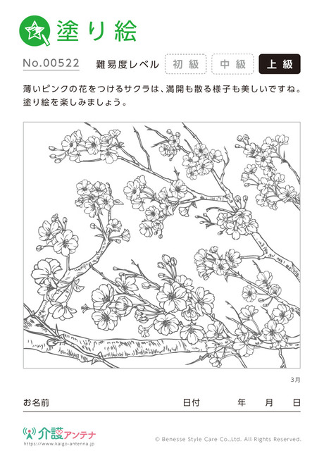 塗り絵「3月の花 サクラ」 - No.00522(高齢者向け塗り絵の介護レク素材)