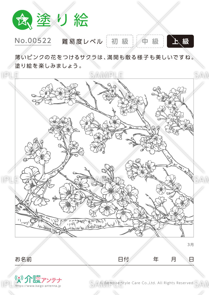 塗り絵「3月の花 サクラ」 - No.00522(高齢者向け塗り絵の介護レク素材)