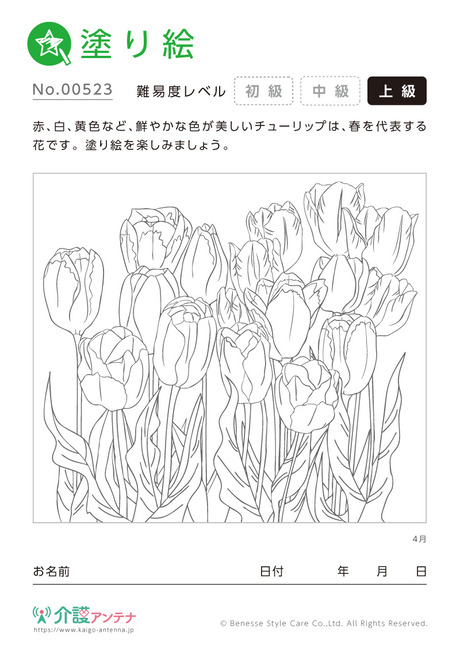 塗り絵「4月の花 チューリップ」 - No.00523(高齢者向け塗り絵の介護レク素材)