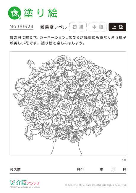 塗り絵「5月の花 カーネーション」 - No.00524(高齢者向け塗り絵の介護レク素材)