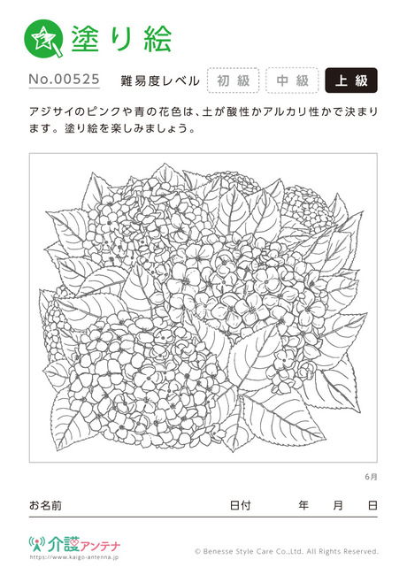 塗り絵「6月の花 アジサイ」 - No.00525(高齢者向け塗り絵の介護レク素材)