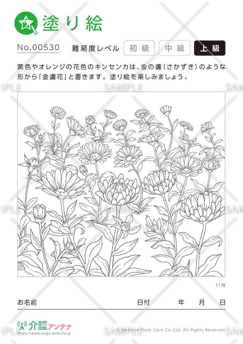 塗り絵「11月の花 キンセンカ」 - No.00530(高齢者向け塗り絵の介護レク素材)