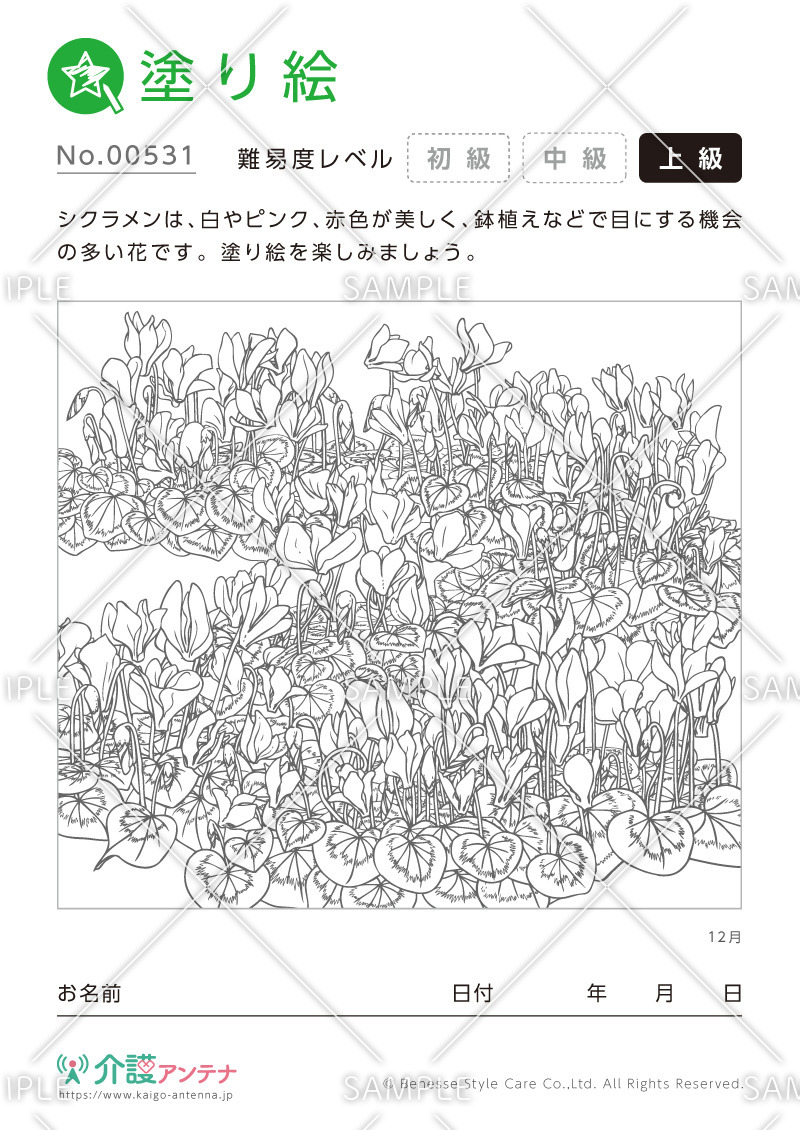 塗り絵「12月の花 シクラメン」 - No.00531(高齢者向け塗り絵の介護レク素材)