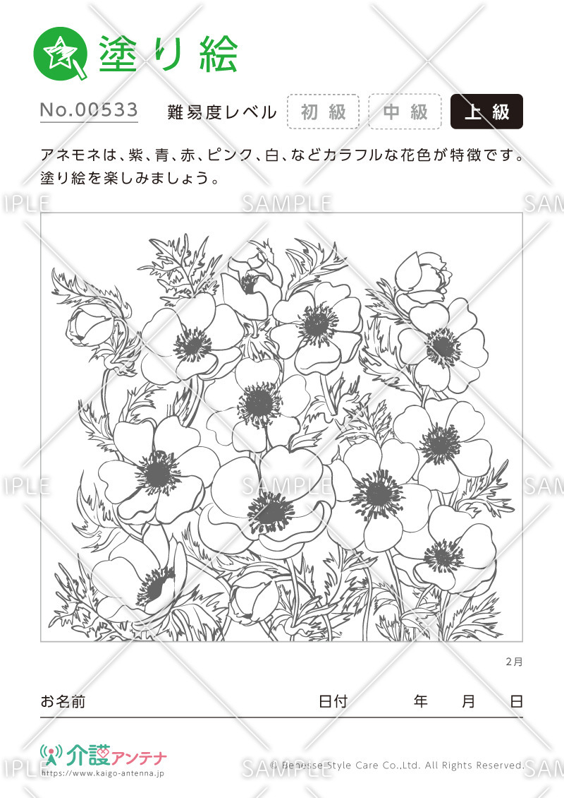 塗り絵「2月の花 アネモネ」 - No.00533(高齢者向け塗り絵の介護レク素材)