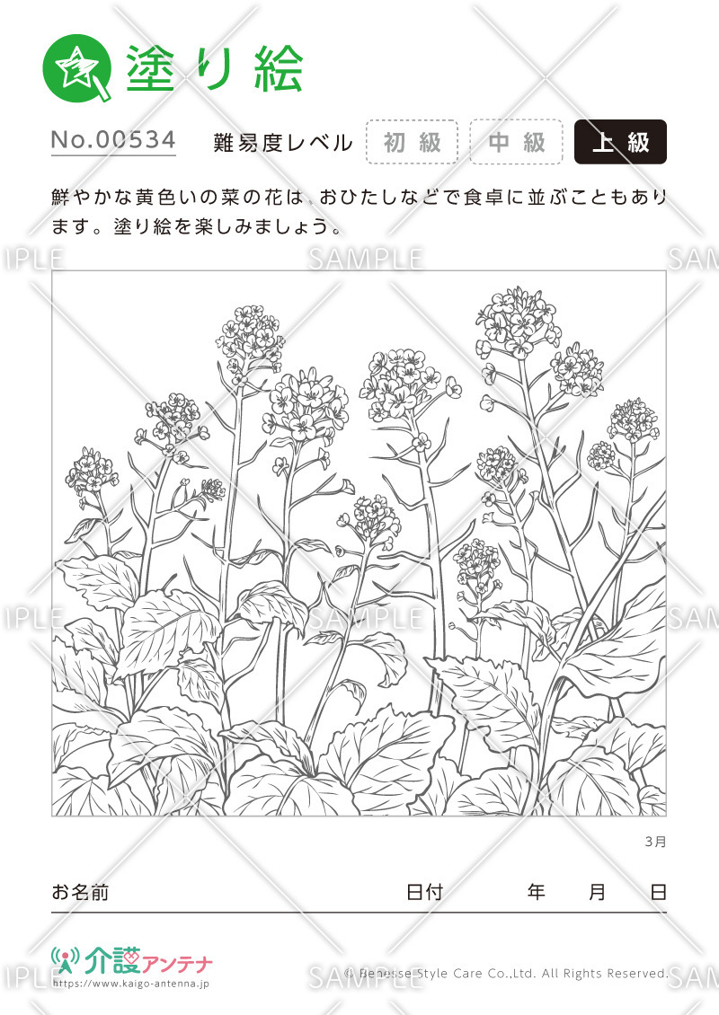 塗り絵「3月の花 菜の花」 - No.00534(高齢者向け塗り絵の介護レク素材)