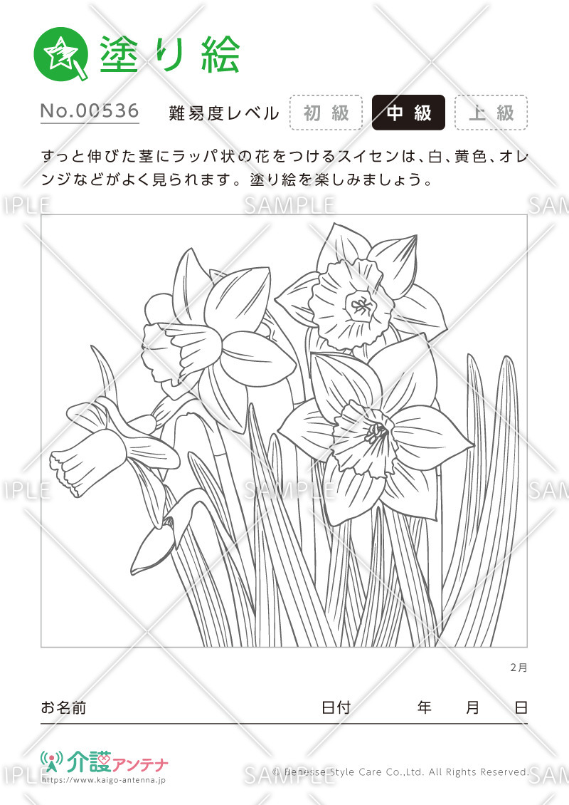塗り絵「2月の花 スイセン」 - No.00536(高齢者向け塗り絵の介護レク素材)