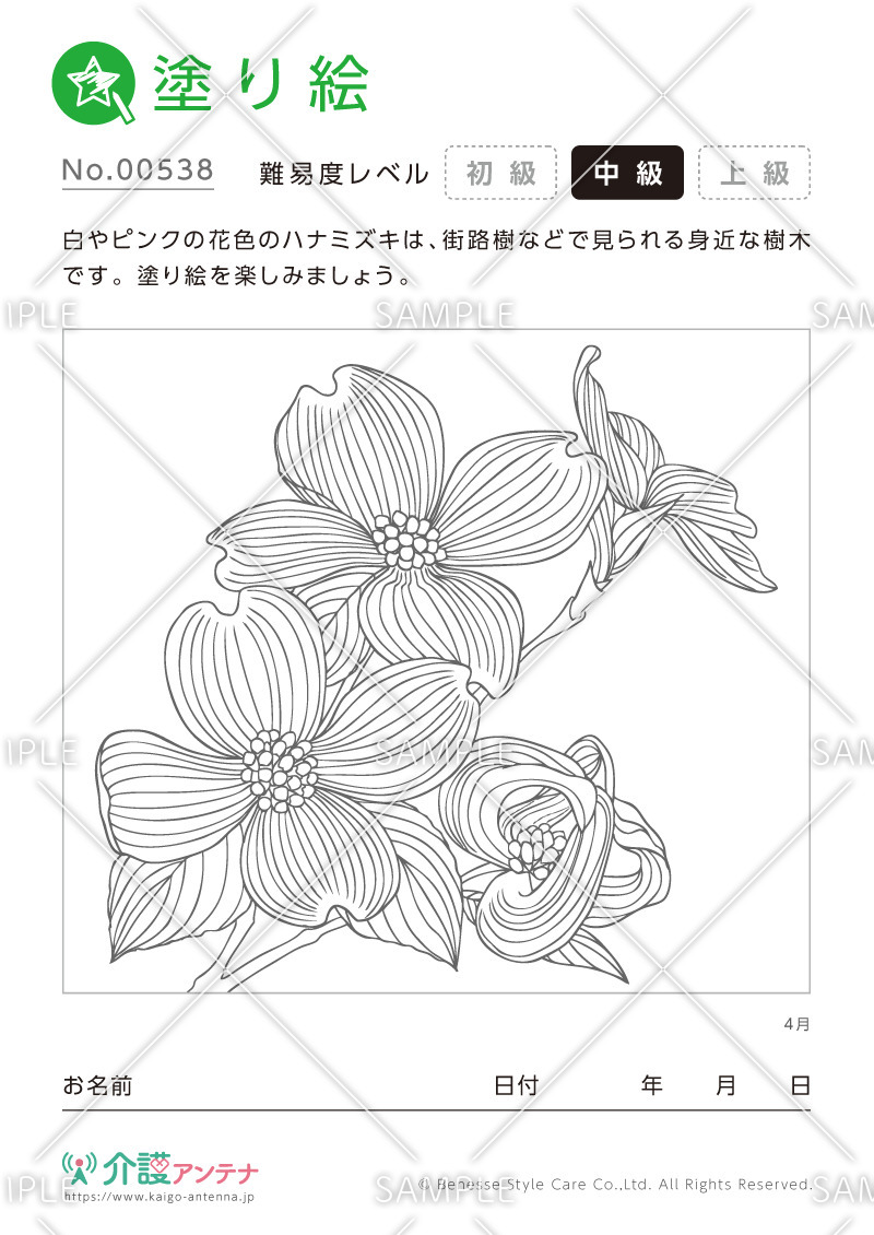 塗り絵「4月の花 ハナミズキ」 - No.00538(高齢者向け塗り絵の介護レク素材)
