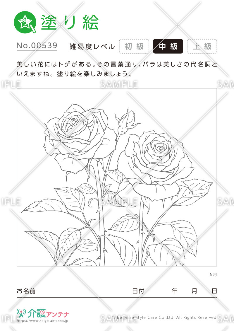 塗り絵「5月の花 バラ」 - No.00539(高齢者向け塗り絵の介護レク素材)