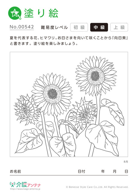 塗り絵「8月の花 ヒマワリ」 - No.00542(高齢者向け塗り絵の介護レク素材)