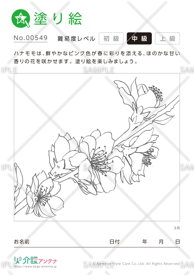 塗り絵「3月の花 ハナモモ」 - No.00549(高齢者向け塗り絵の介護レク素材)