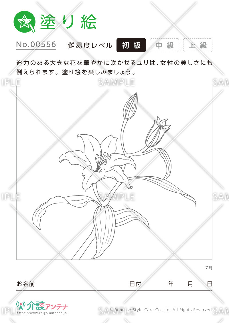 塗り絵「7月の花 ユリ」 - No.00556(高齢者向け塗り絵の介護レク素材)