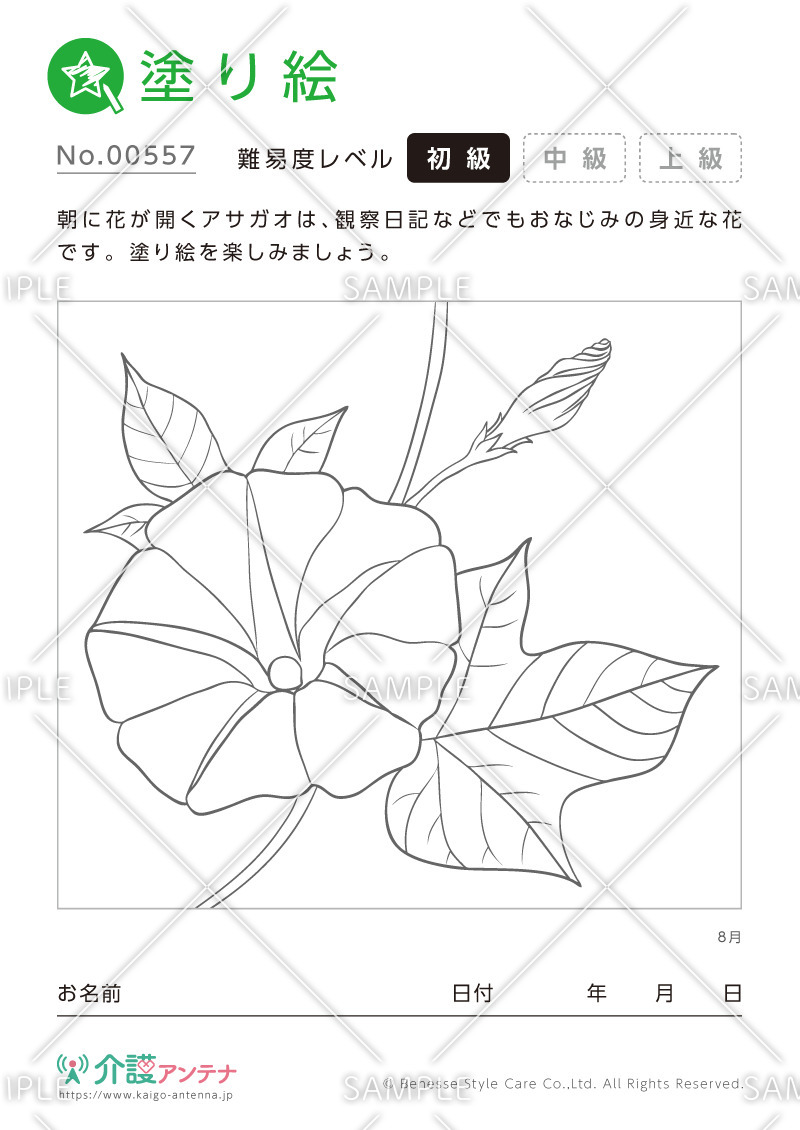 塗り絵「8月の花 アサガオ」 - No.00557(高齢者向け塗り絵の介護レク素材)