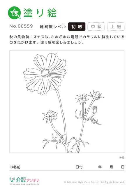 塗り絵「10月の花 コスモス」 - No.00559 (初級/塗り絵の介護レク素材)