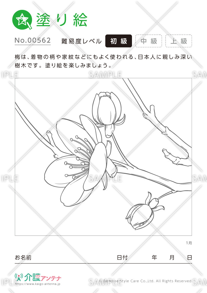 塗り絵「1月の花 梅」 - No.00562(高齢者向け塗り絵の介護レク素材)